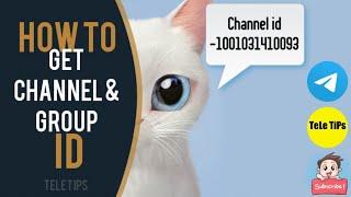 How To Get Channel & Group Id In Telegram | Latest Full Tutorial