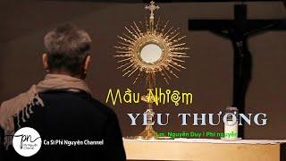 MẦU NHIỆM YÊU THƯƠNG Video Lyrics || Sáng Tác: Lm. Nguyễn Duy || Ca Sĩ: Phi Nguyễn