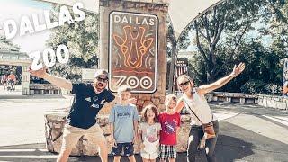 Dallas Zoo Exploring with the Family