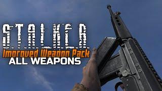 S.T.A.L.K.E.R. Improved Weapon Pack - All weapons reload animations