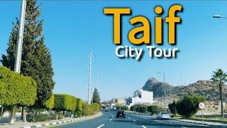 Taif City Tour | A Beauty of Saudi Arabia