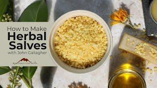 How to Make Herbal Salves with John Gallagher