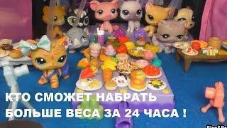 LPS: КТО СМОЖЕТ НАБРАТЬ БОЛЬШЕ ВЕСА ЗА 24 ЧАСА!