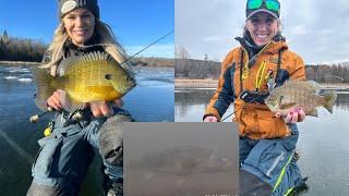Early Ice Panfish | Underwater Footage