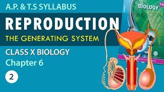 #Reproduction Explanation in Telugu | Class10 Biology Chapter 6 part-2| AP & TS Syllabus