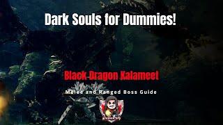 Dark Souls for Dummies! Black Dragon Kalameet: Melee and Ranged Boss Guide!