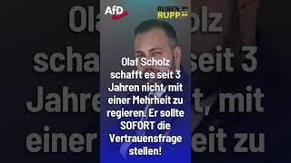 Olaf Scholz ohne Mehrheit #shorts #shortsfeed #shortvideo  #afd #politik #deutsch #foryou #ampel