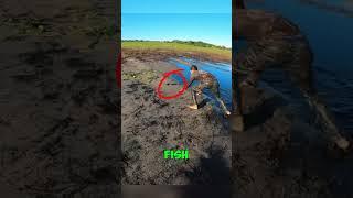 A Fishing Method You Must See! 