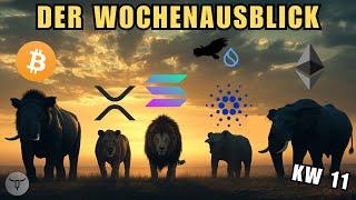 BTC, ETH, ADA, SOL, XRP & SUI– Langfristige Analyse für die Handelswoche