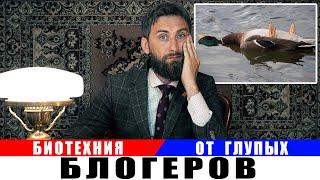 Больные утки - смертельная опасность