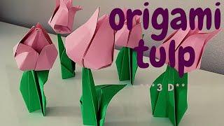 Origami TULP #papier vouwen