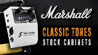 Marshall Stock Cabinets on Two Notes Torpedo C.A.B. M (Shootout & Playing Through) | AMT M2 Preamp