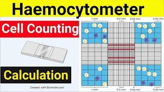 Haemocytometer Cell Counting | Cell Counting Calculation |  Cell counting Trypan Blue |