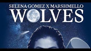 Selena Gomez & Marshmello — Wolves (VANRIP Remix)