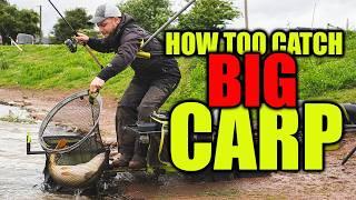 You won't believe HOW BIG these fish are!