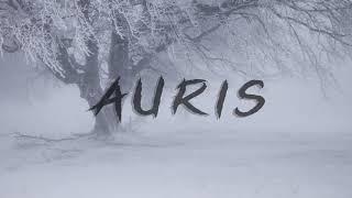 Timbaland Type Beat 2019 - «AURIS» | trap instrumental 2019