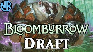 BLOOMBURROW DRAFT LIKE A PRO!!!