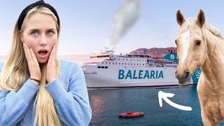 Mit den Pferden nach Mallorca #2 - DIE FAHRT