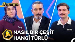 Kübra & Ata Final | Ali İhsan Varol ile Alfapetek 123. Bölüm