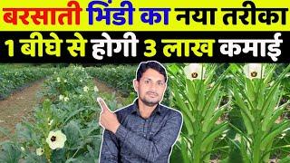 भिंडी की खेती कब और कैसे करें | barsat me bhindi ki kheti | okra farming techniques