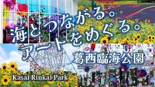 「海とつながる。アートをめぐる。」葛西臨海公園 ４万本の向日葵と４つのアートが織りなす世界/Kasai Rinkai Park/August 2, 2024/4K