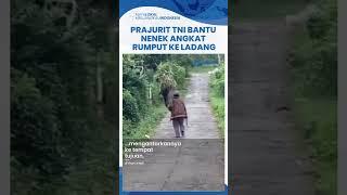 Viral Video Prajuit TNI Bantu Wanita Paruh Baya Angkat Rumput di Ladang, Aksi Sigapnya jadi Sorotan