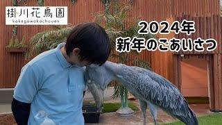 【掛川花鳥園公式】2024年　ふたばと共に新年のご挨拶