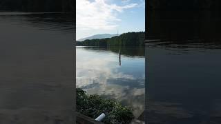 Pemandangan Jeti Semeling RIver View , Sungai Merbok , Kedah . #nature #river #mangrove #fishing