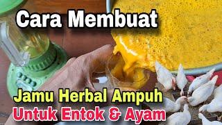 Cara Membuat Jamu Herbal Ampuh untuk Entok dan Ayam || Efektif Cegah Penyakit