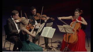Edvard Grieg - String Quartet in g minor op. 27 - Nordic String Quartet (HD)