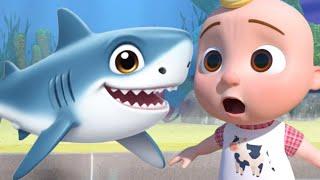 New Baby Shark + More Nursery Rhymes & Kids Songs - #cocomelon #nurseryrhymes #bebefinn