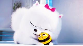 THE SECRET LIFE OF PETS 2 Clip - "Gidget Lost Busy Bee" (2019)