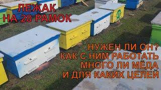 ЛЕЖАК НА 28 РАМОК ДЛЯ ЧЕГО ОН НА ПАСЕКЕ ДЛЯ КАКИХ ЦЕЛЕЙ как с ним работать УСТУПАЕТ ЛИ ПО МЁДУ 