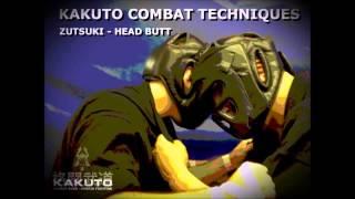 Kakuto Combat