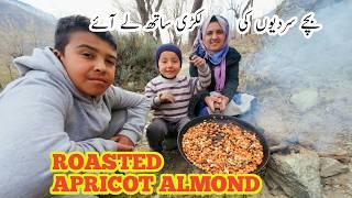 Roasted Apricot Almonds | Daily Lifestyle Vlog | Happy Village Life | My Village | Vlogs New Video