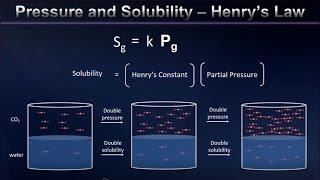 Henry's Law and Gas Solubility Explained