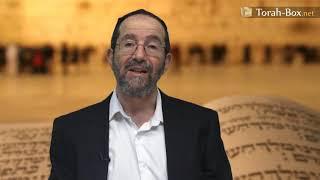 Women and Torah Learning (Rav Avraham Edelstein)