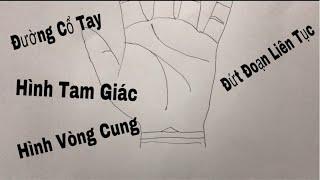 Xem tướng đường cổ tay hình vòng cung, hình tam giác trên bàn tay