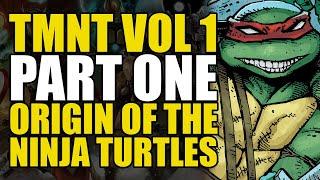 Teenage Mutant Ninja Turtles New Origin: TMNT Vol 1 Part 1 | Comics Explained