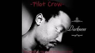 Pilot Crow darkness