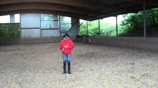 Breaking A Horse Properly With Alvin R Boudy Jr (part five)