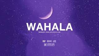 (FREE) Tory Lanez ft Omah Lay & Burna Boy Type Beat - "Wahala" | Soulful Dancehall Instrumental 2021