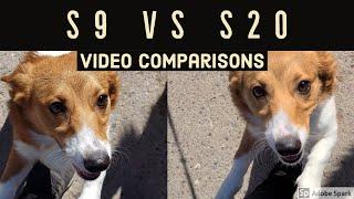 Samsung S20 vs S9 Camera Comparison (Part 2)
