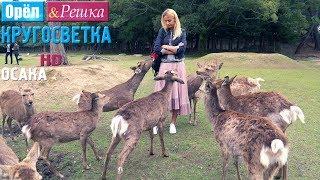 Орёл и Решка. Кругосветка - Осака. Япония (1080p HD)