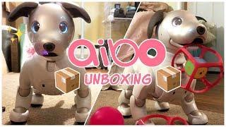 aibo 1000 unboxing, set-up, and first impressions!