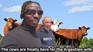 @iammarwa finally surprised baby mama’s dad with the cows  in Argentina 