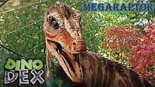 Dino dex megaraptor screen time