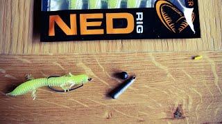Savage Gear Ned Salamander (Free Rig /Texas Rig )