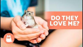 How to KNOW if My HAMSTER LOVES ME  (5 Signs to Look Out For)