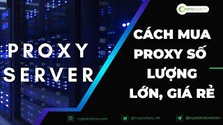 Cách Mua Proxy số lượng lớn, giá rẻ